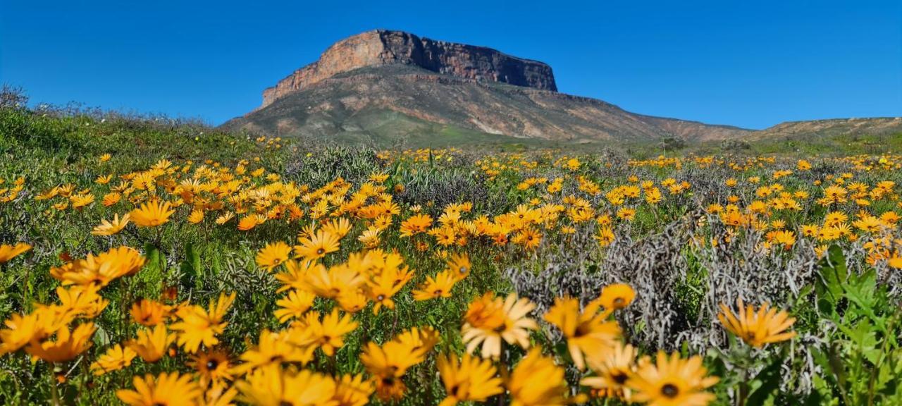 Mountain View Guesthouse Vanrhynsdorp Eksteriør bilde
