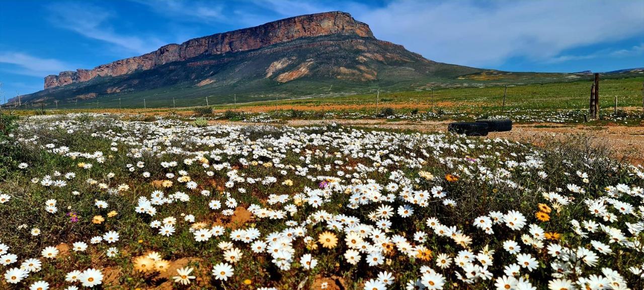 Mountain View Guesthouse Vanrhynsdorp Eksteriør bilde